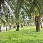 Palme E Mare Corfu Danília
