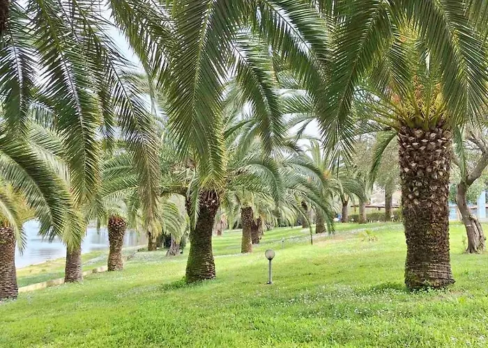 Palme E Mare Corfu Danilia