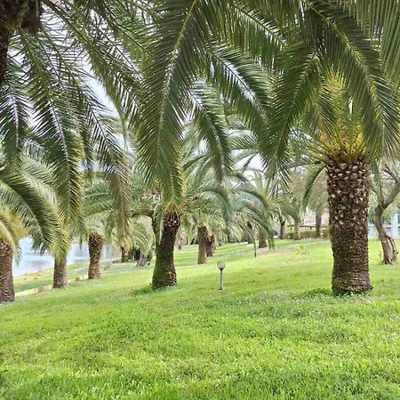 Palme E Mare Corfu Danilia